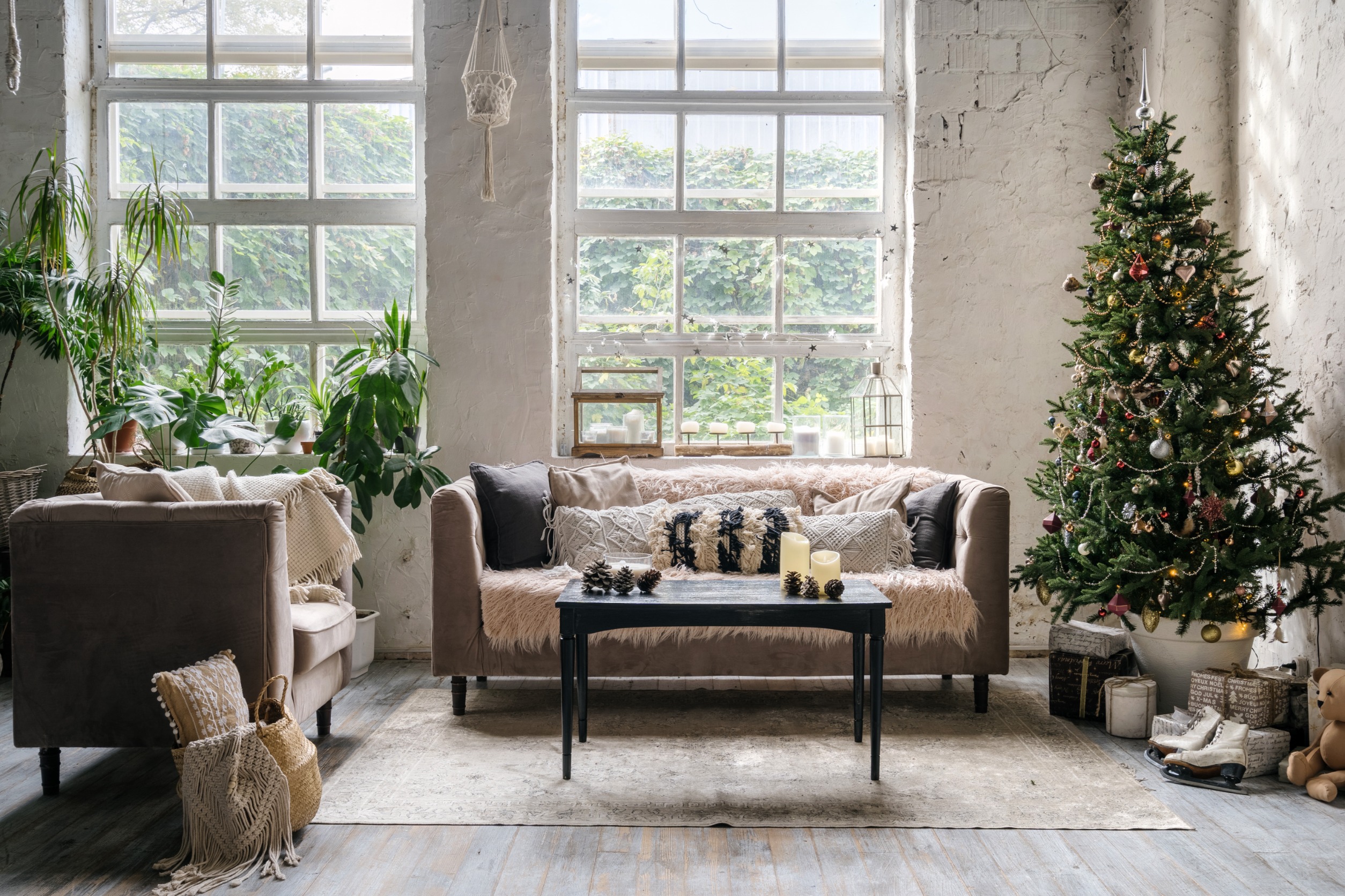 A cozy living room with houseplants during Christmas.