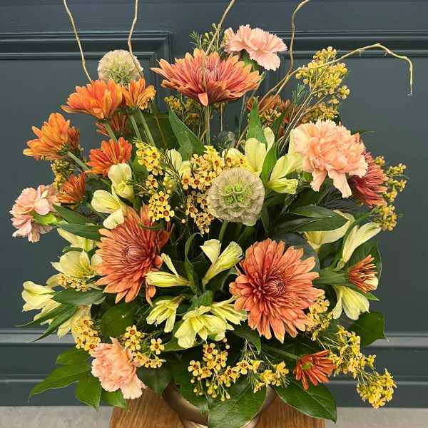 568243396 857610576768595 7296176744311053520 n