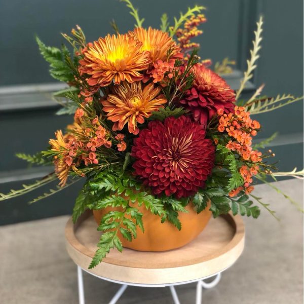 316046717 472559511583558 8822895120241177831 n